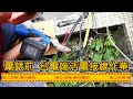 水電系列(ep-2)─電錶前電錶後電力線徑更新加大施工過程