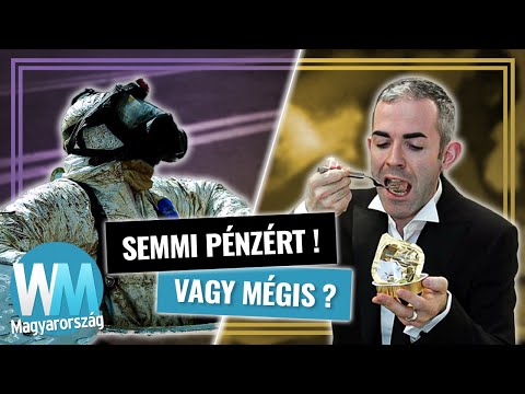 Videó: Jól fizetnek a történészek?