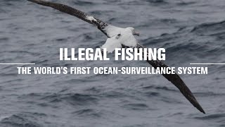 Enlisting albatrosses to fight illegal fishing