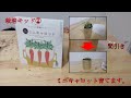 【植物】【育成キッド】ミニキャロット育てます。②　～間引き～/ 聖新陶芸　育てるスープ　ミニキャロット　ペーパーバック