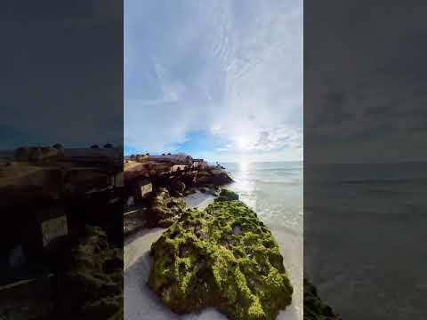 Coquina Beach FL Shorts 