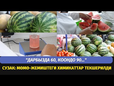 Video: Шифер кошулмабы?