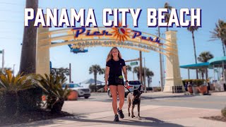 Panama City Beach with my Pup | LIVING OUT OF A 4RUNNER