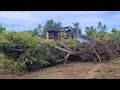 CAT D6R XL Dozer Leveling Soil And Uproot The Coconut TreesCAT D6R XL Dozer Leveling Soil And Uproot CAT D6R XL Dozer Leveling Soil And Uproot The Coconut TreesCAT D6R XL Dozer Leveling Soil And Uproot