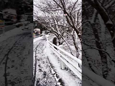 Shiga Ken Koka Shi Shorts Shortsvideo Short Shortvideo Shortsfeed Shortsviral Japan 