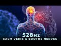 Instant Nervous System Reset With 528Hz Repair Nerves Veins Heal While Sleeping Instant Nervous System Reset With 528Hz Repair Nerves Veins Heal While Sleeping