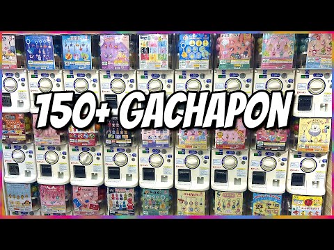 白泉社 - gachapin ⏩️NEW ACCOUNT START GACHAPIN 🟢種：恐竜の子ども 🟢誕生日