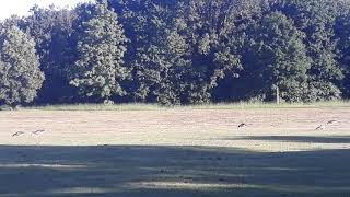 Im Ostpark - Liegewiese