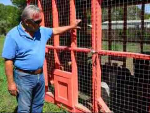 chicken coop mobile tractor plans