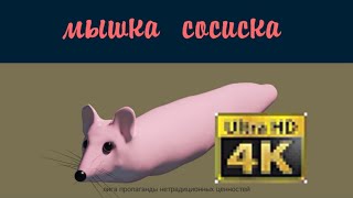 🐭 Мышка Сосиска, Но Это Снято На Тапок (144P) 🐭