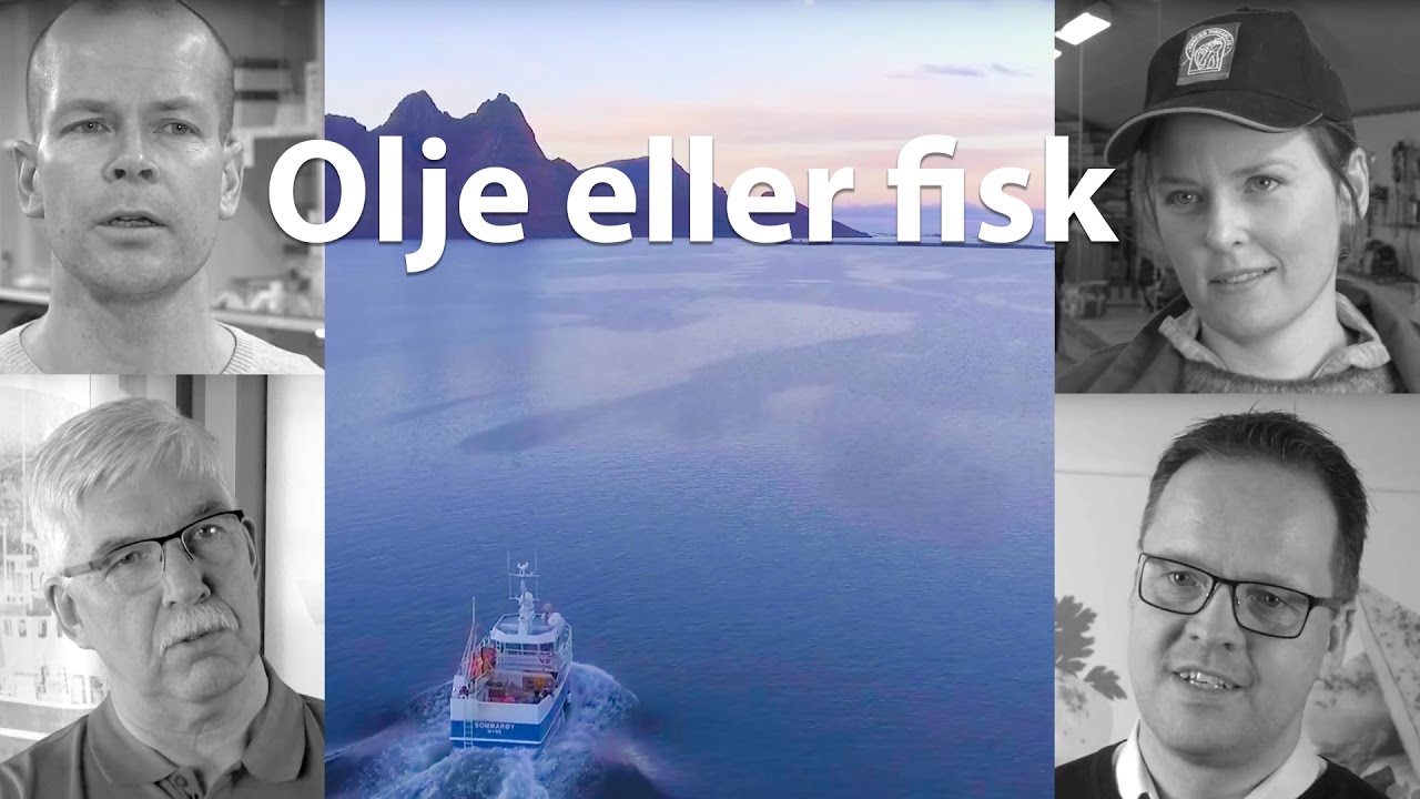 pic Oljeboring I Lofoten Vesterålen Og Senja olje eller fisk lofoten vesteralen og senja