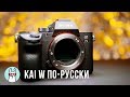 Kai W по-русски: Sony a7 III