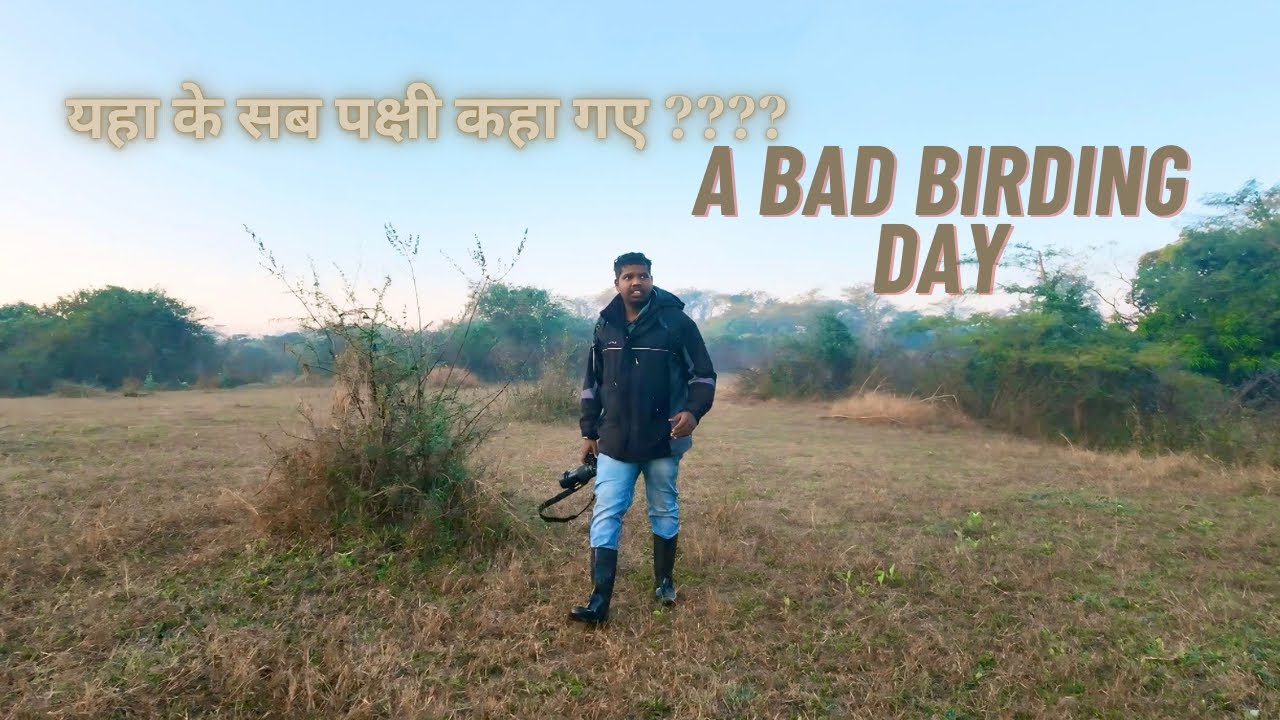 A bad Birding Day | Bird photography vlog 