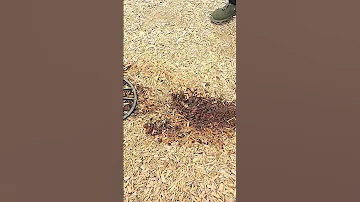May 27 2025 Metaldetecting 