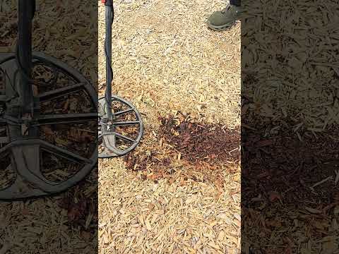 May 27 2025 Metaldetecting