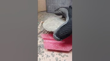 Actual fossil prep speed #fossil #science #preparation