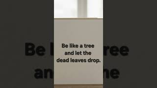 Be like a tree and let the dead leaves drop..#theuniversalquotes_31 #quotes #foryoupage #fyp #foryou