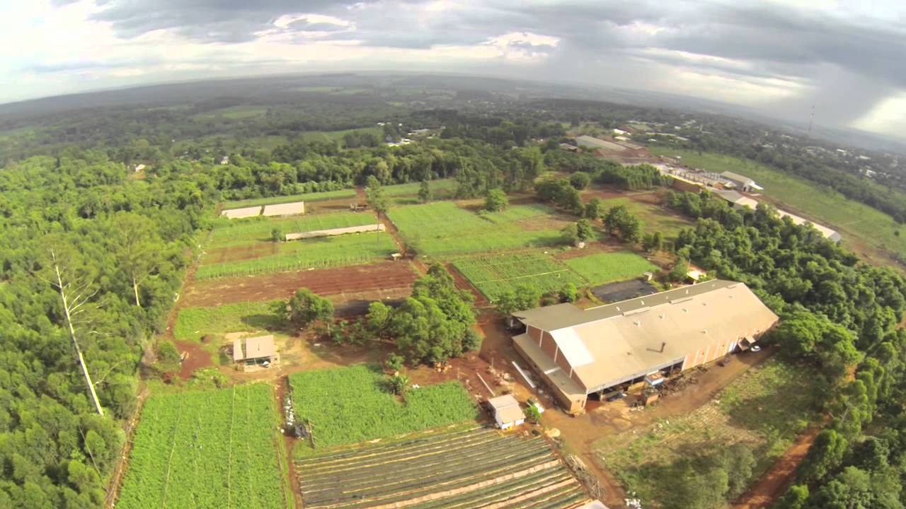 Flor de Jardín - (parte 6) final - YouTube