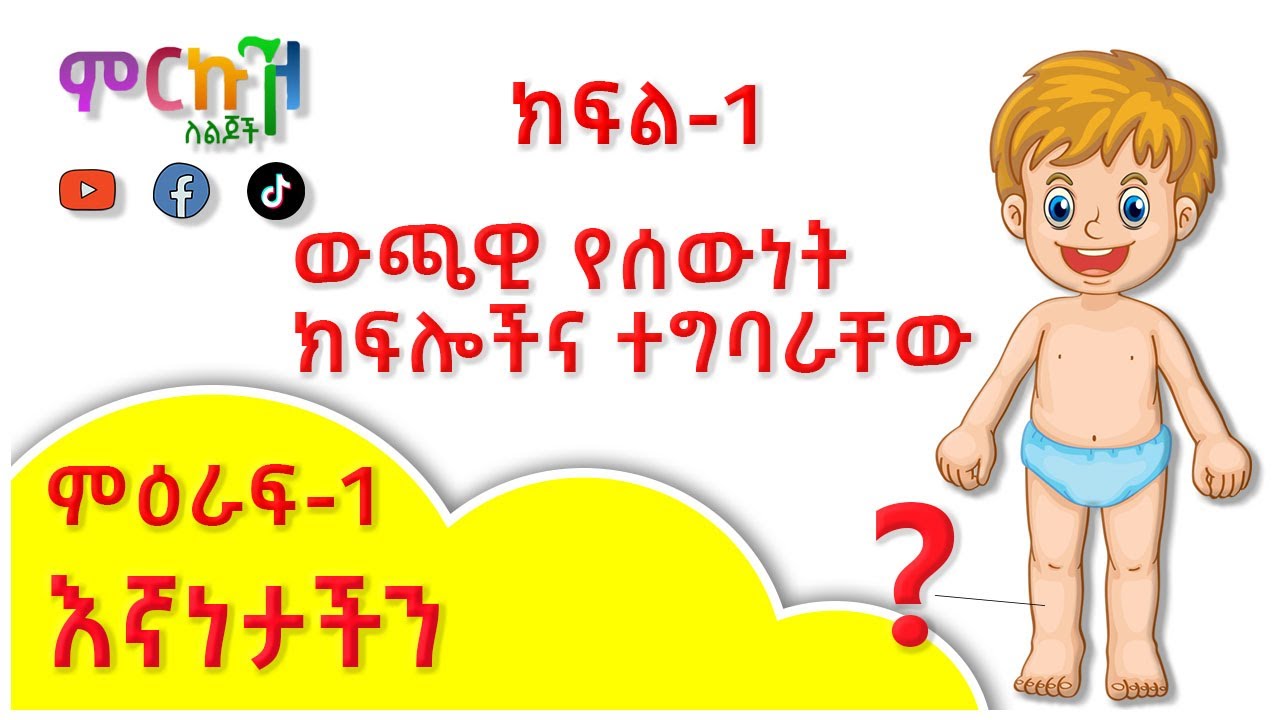 ምዕራፍ-1 እኛነታችን ክፍል-1 // ውጫዊ የሰውነት ክፍሎችና ተግባራቸው // Parts of the Body in Amharic // የአከባቢ ሳይንስ ለ1ኛ ክፍል