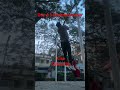 #calisthenics #brahmacharya #motivation #premanandjimaharaj # #gymmotivation #discipline