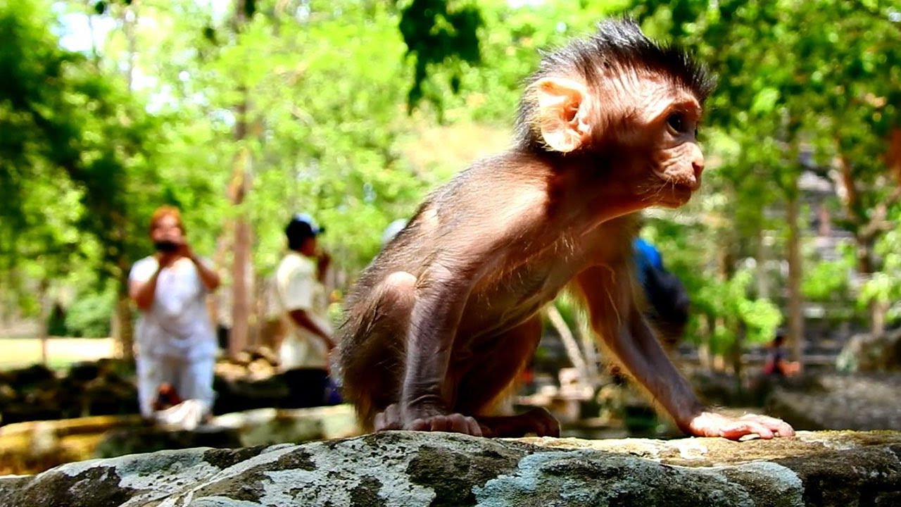 foundation medicine OMg Finally a Very Tiny baby Left alone Calling mom Coz Kari Keeps a way from mom