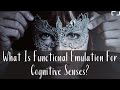 What is functional emulation for cognitive senses  social engineering  cs joseph