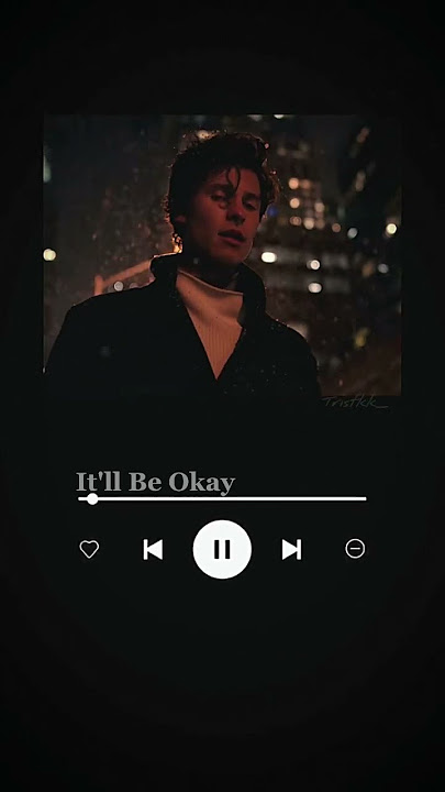 It'll Be Okay - Shawn Mendes (tradução)
