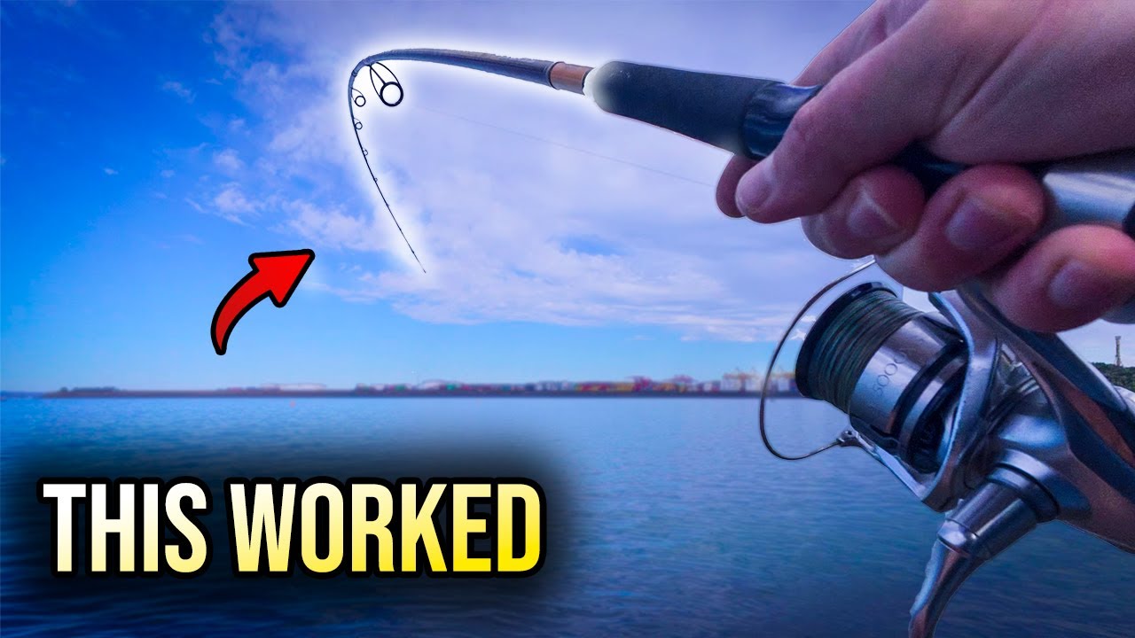После нескольких недель борьбы... ЭТО наконец-то сработало!! | Рыбалка в заливе Ботани