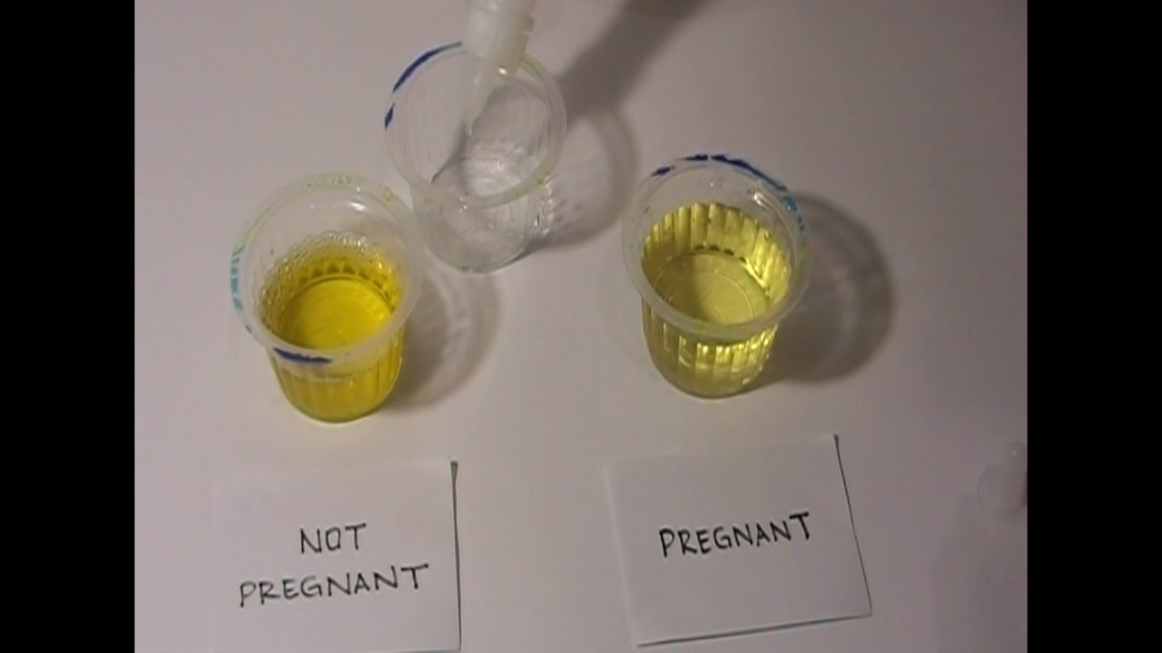 Home Pregnancy Test with Vinegar - YouTube