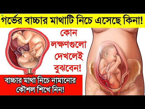 গর ভ র ব চ চ ট হ ড ড উন পজ শন এস ছ ক ন ক ভ ব ব ঝব ন ব চ চ র ম থ ন চ র দ ক ন ম ন র ক শল ক 
