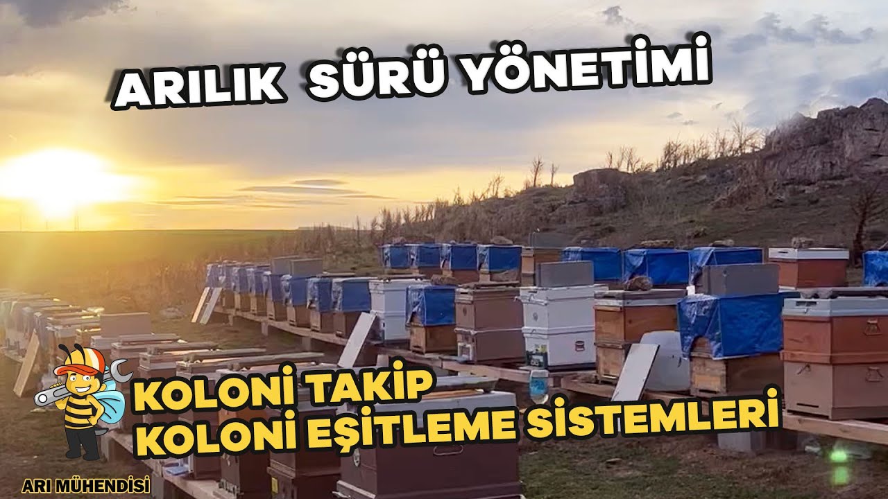 ПРОГРАММА СЛЕЖЕНИЯ КОЛОНИЙ СИСТЕМА УРАВНЕНИЯ КОЛОНИЙ