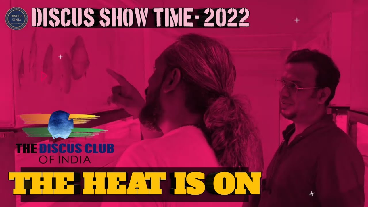 Promo Discus Show Time 2022 | All India Discus Competition | The Discus ...