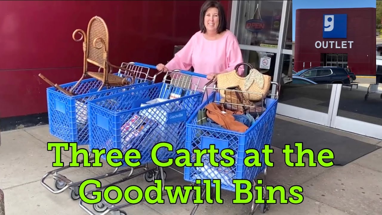 Jackpot / 3 Carts / Goodwill Bins Outlet Store / Thrifting and Picking