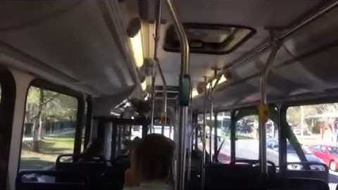 Transdev QLD School Bus Route 5001 PM29