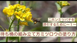 ニホンミツバチを誘引するために〜１〜待ち桶の組み立て、ミツロウの塗り方