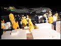 NDEGE YA SAMAKI YATUA MWANZA NDEGE YA SAMAKI YATUA MWANZA