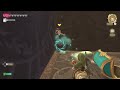 #totk #botw #thelegendofzeldatearsofthekingdom #thelegendofzeldabotw #nintendo #zelda #nintendo
