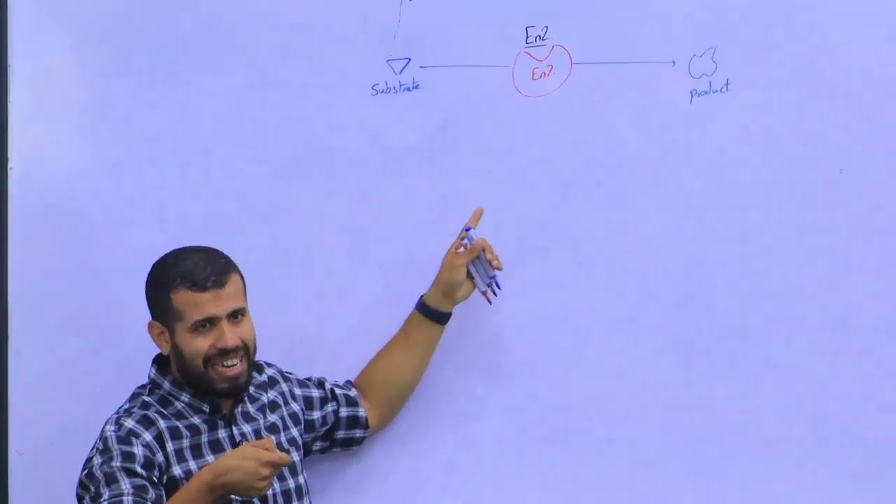 Revision ( 3 ) part 1 Enzyme Bio 102 Dr.Hesham Esmat
