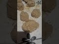 Making food last part