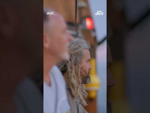 عالم القرش المثالي