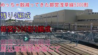 残り少ない!　都営浅草線5300形　都営5300形3編成、都営5500形8編成　東京都交通局　馬込車両研修場にて