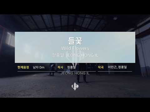 정홍일 - 들꽃ㅣ오리지널 M/V 노래방 버전ㅣ단점🤘🏻키 조절 안됨‼️
