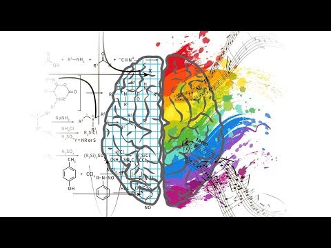 WEP2018 TV: What Art Can Tell Us About the Brain