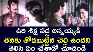 KNOWN THAT THE CONVICTED ELDER BROTHER HAS A SISTER  | SOBHAN BABU | SUMALATHA | TELUGU CINE CAFE