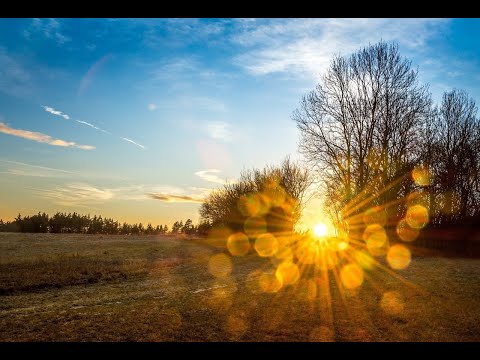 Видео: Жарковечерневесенний стрим 20.04.2024 стрим 19:30 МСК