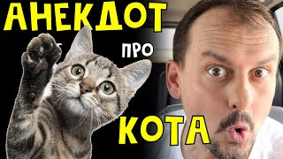 Анекдот Про Кота | Юмор | Анекдоты От Алекса | Анекдот