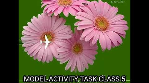 Class 5 Model Activity Task MATH