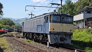碓氷峠鉄道文化むら EF63-11号機 動態保存機走行シーン