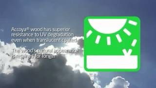 Accoya Wood Windows And Doors