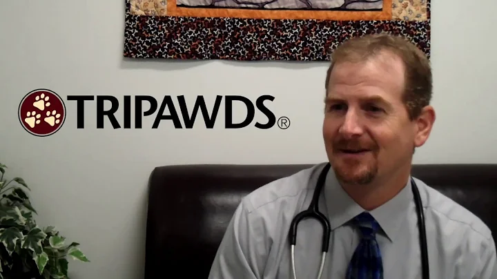 What is the IL-15 Immunotherapy Study with Dr Rob ...